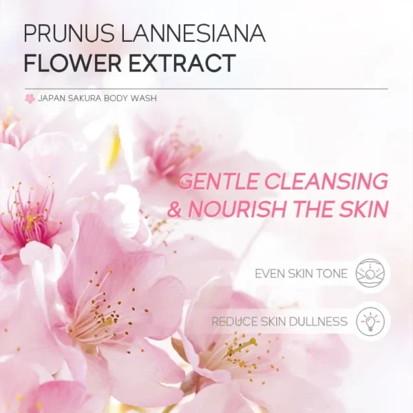 Sakura Shower Gel - Image 5